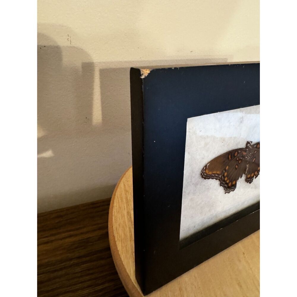 Pretty mounted butterfly black frame - green butterfly - Picture 2 of 4
